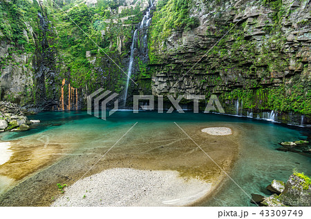 雄川の滝 雄川の滝 43309749