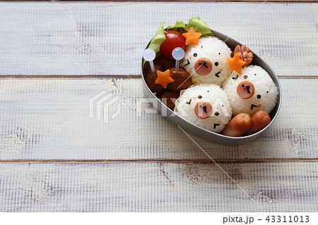 アザラシのお弁当 43311013