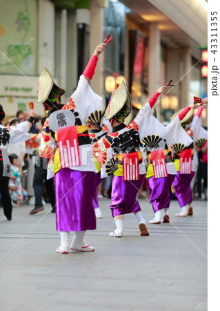 よさこい 43311355