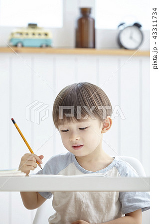 勉強 幼児 アメリカ人 43311734