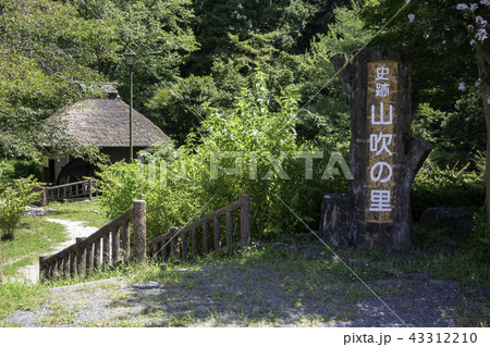 越生 山吹の里 越生 山吹の里 43312210