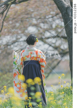 Sakura Sakura 43312266