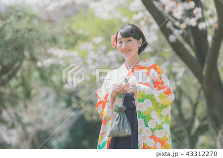 Sakura Sakura 43312270