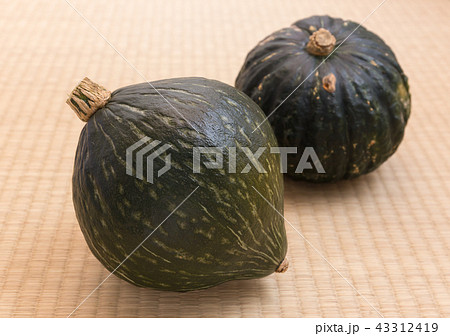 中山かぼちゃ（ブランド野菜）とかぼちゃ 43312419