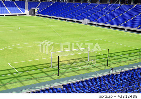 緑の天然芝が美しいサッカースタジアムの風景 緑の天然芝が美しいサッカースタジアムの風景 43312488