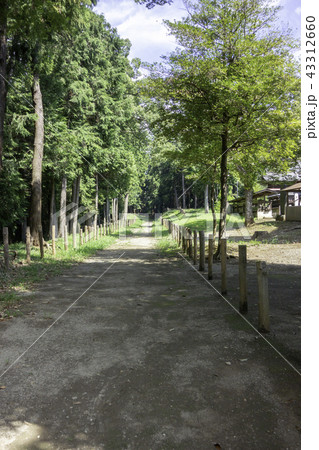 毛呂山 出雲伊波比神社 毛呂山 出雲伊波比神社 43312660