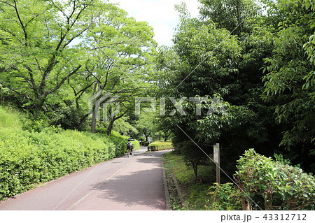 泉北ニュータウン　栂・美木多 43312712