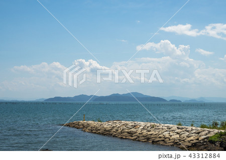 安曇川町横江浜の鴨川勝野園地から見る琵琶湖 43312884