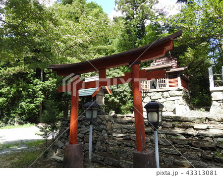 梨子堂八幡神社 梨子堂八幡神社 43313081