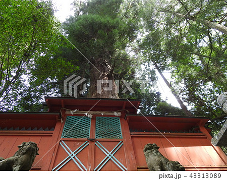 天一神社 天一神社 43313089