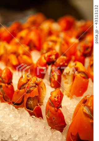 Claws of fresh, juicy and tasty poached mud crab. Claws of fresh, juicy and tasty poached mud crab. 43313132
