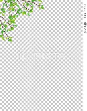 Fresh Green Branches Leaf Png Permeable Stock Illustration