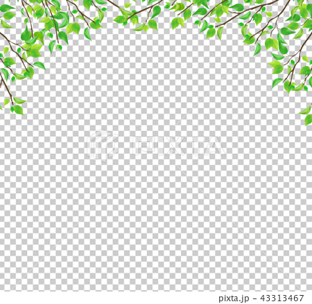Fresh Green Branches Leaf Png Permeable Stock Illustration