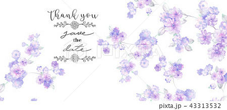 紫色 紫 パープル 43313532