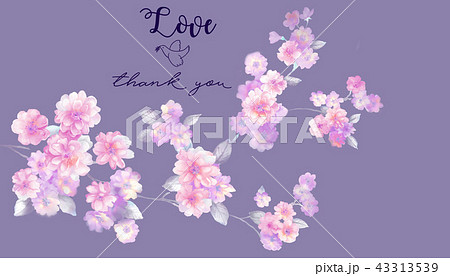 色 カラー 色彩 43313539