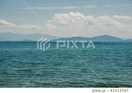 安曇川町横江浜の鴨川勝野園地 43313567