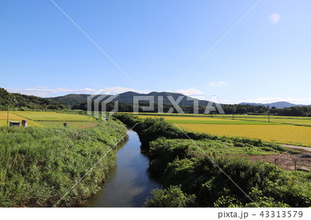 恋瀬川上流から望む筑波連山 43313579