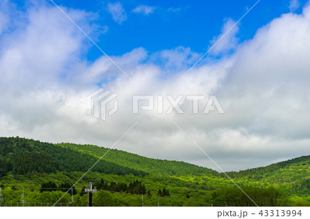 峰山高原リゾートホワイトピーク(兵庫県神崎郡神河町上小田)※作品コメント欄に撮影位置あり 峰山高原リゾートホワイトピーク(兵庫県神崎郡神河町上小田)※作品コメント欄に撮影位置あり 43313994