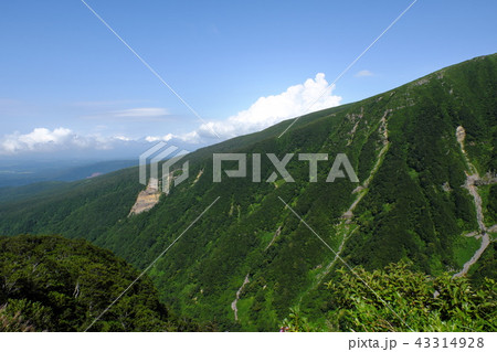 夏の鳥海山六合目 43314928