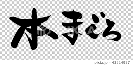 筆文字素材の手書きの【本まぐろ】墨で書いた横書きのベクター透過イラスト 筆文字素材の手書きの【本まぐろ】墨で書いた横書きのベクター透過イラスト 43314957