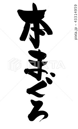 筆文字　本まぐろ　イラスト 43314959