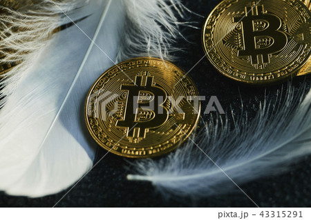 Bitcoin 金貨 仮想通貨 ゴールド 羽根 Bitcoin 金貨 仮想通貨 ゴールド 羽根 43315291