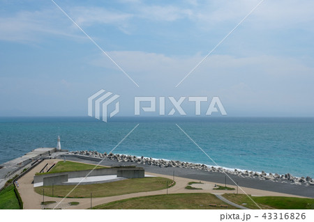 ふじのくに田子の浦みなと公園 43316826