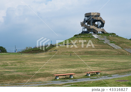 ふじのくに田子の浦みなと公園 見晴台 ふじのくに田子の浦みなと公園 見晴台 43316827