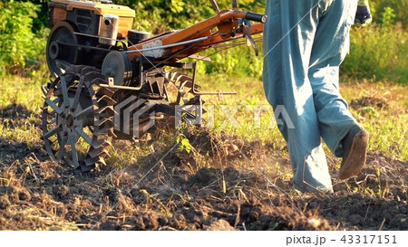 Man works in the garden with motorized unit motoblock - type of small-sized tractor, used in the Man works in the garden with motorized unit motoblock - type of small-sized tractor, used in the 43317151
