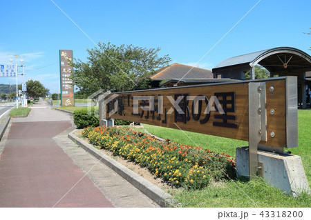 道の駅三芳村(南房総市) 道の駅三芳村(南房総市) 43318200