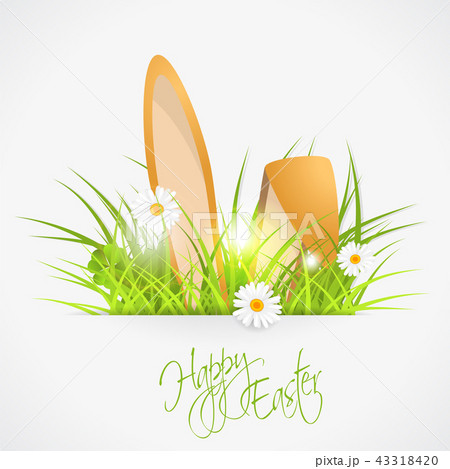 rabbit ears and green fresh grass 43318420