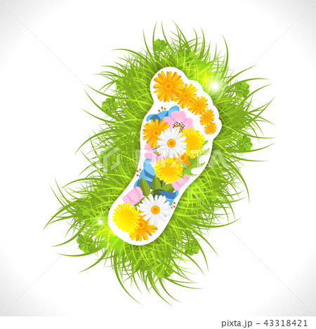 Footprint from flowers in green grass 43318421