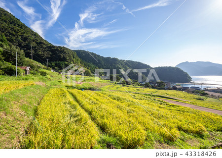 日引の棚田の写真素材