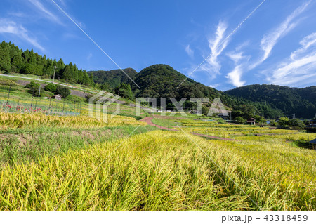 日引の棚田の写真素材