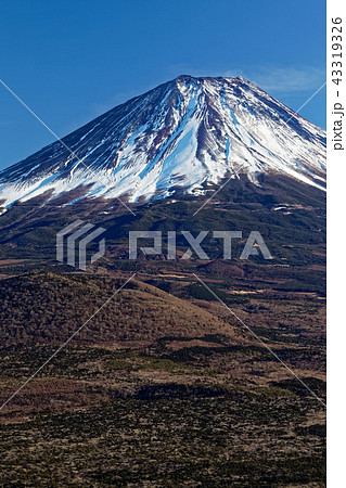 精進湖・パノラマ台から見る冬の富士山 43319326