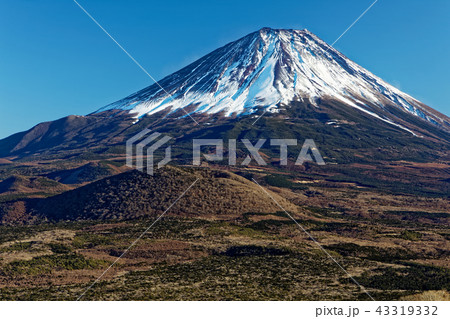 精進湖・パノラマ台から見る冬の富士山 精進湖・パノラマ台から見る冬の富士山 43319332
