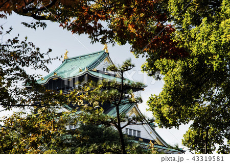 公園 パーク 園 43319581