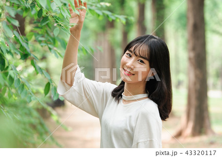若い女性 韓国人 森 43320117