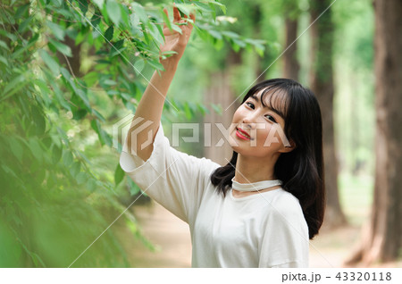 若い女性 韓国人 森 43320118
