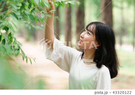 若い女性 韓国人 散歩 43320122
