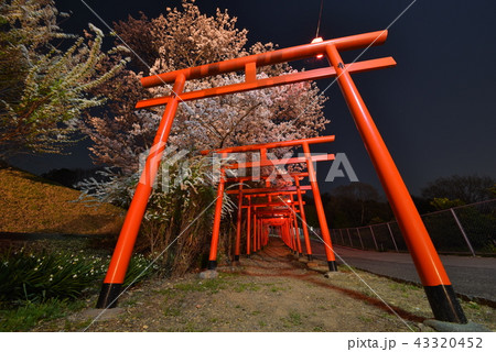 丸高稲荷神社 43320452