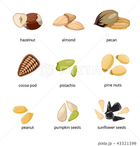 Seeds and nuts vector icons in cartoon style 43321396