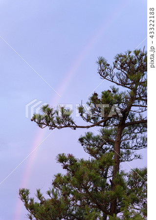 古群山群島 群山市 全北 43322188