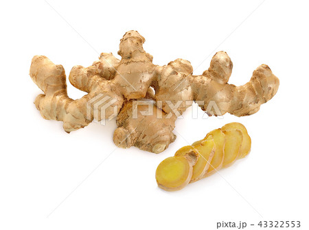 ginger on white background ginger on white background 43322553