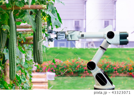 Agricultural products machinery automatic robots 43323071
