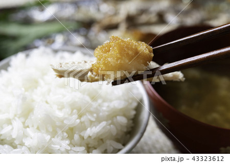 秋刀魚と大根おろし 43323612