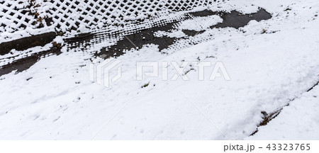 雪の日 43323765