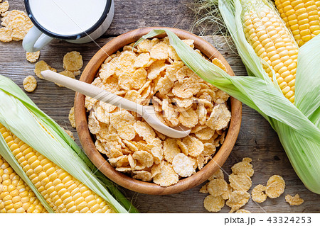 Corn flakes in bowl, mug of milk and corncobs. 43324253