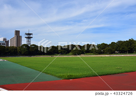 陸上競技場のフィールド 陸上競技場のフィールド 43324726