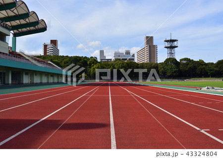 陸上競技場のトラック 陸上競技場のトラック 43324804